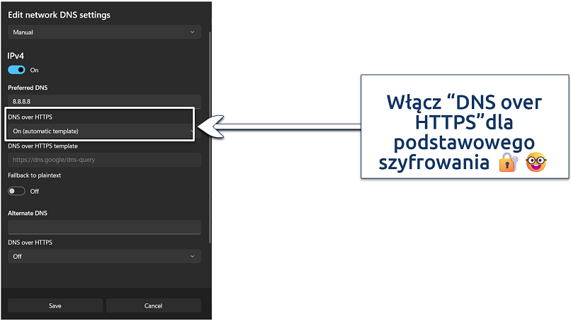 Screenshot of the custom DNS settings on Windows 11